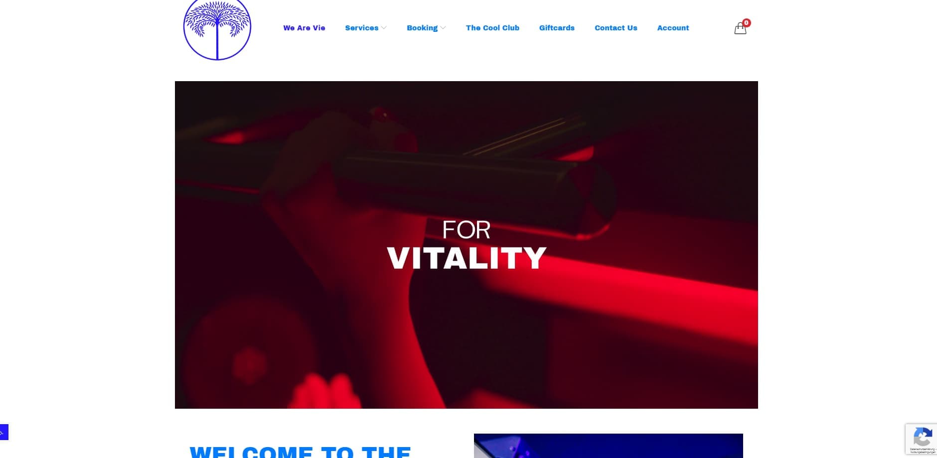 The Vie Co. cover photo